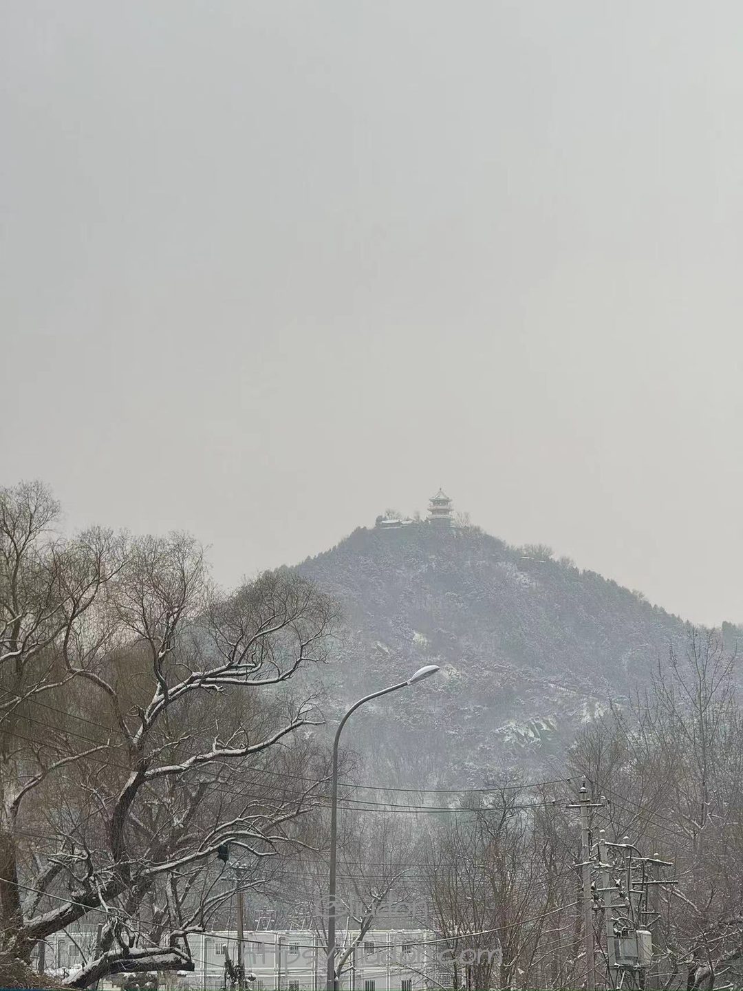 冬天的百望山